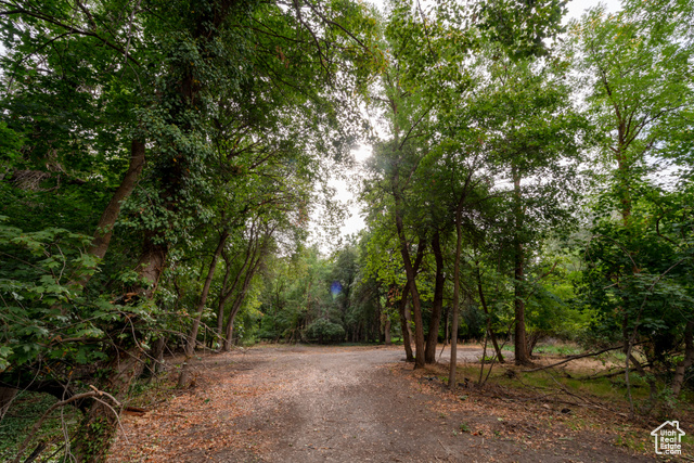 Photo 41 - 2318 E Walker Ln, Holladay UT 84117