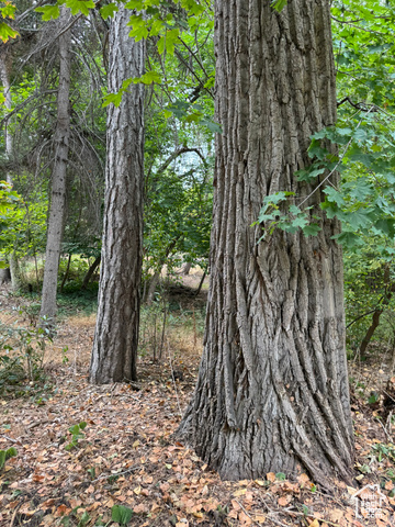 Photo 38 - 2318 E Walker Ln, Holladay UT 84117