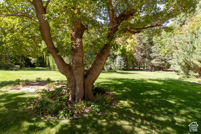 Photo 4 - 2318 E Walker Ln, Holladay UT 84117