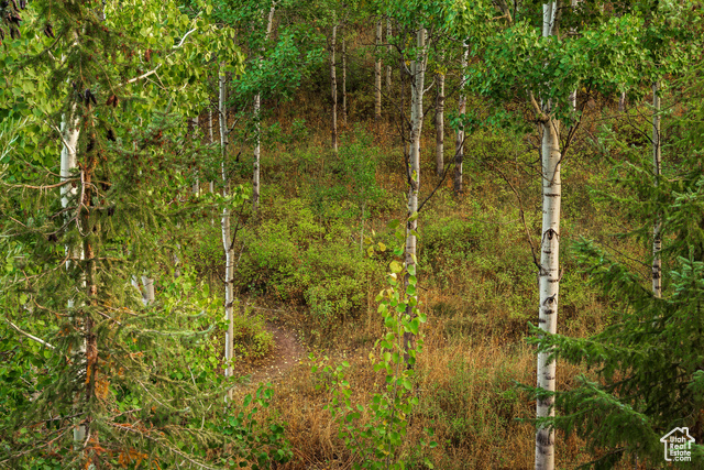 Photo 33 - 2549 Enclave Ln #35, Park City UT 84098