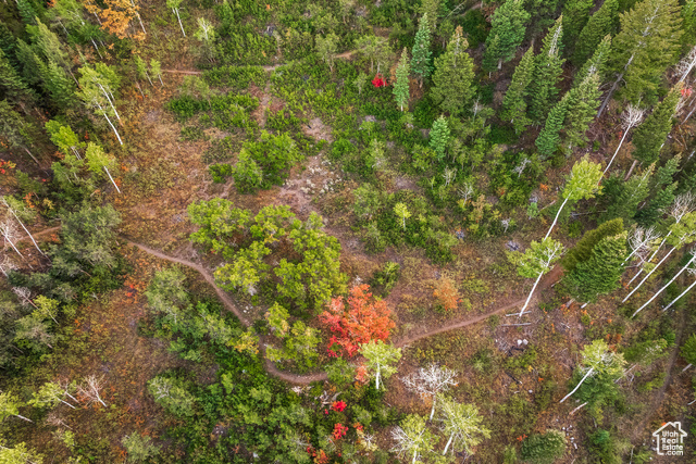 Photo 44 - 2549 Enclave Ln #35, Park City UT 84098