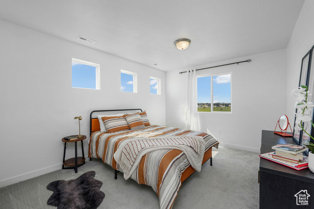 Photo 26 for MLS #2111587 at 4438 W 6025 West