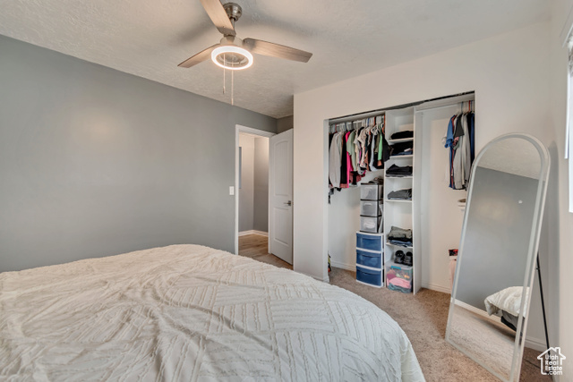 Photo 10 for MLS #2111598 at 2683 S Melville Dr