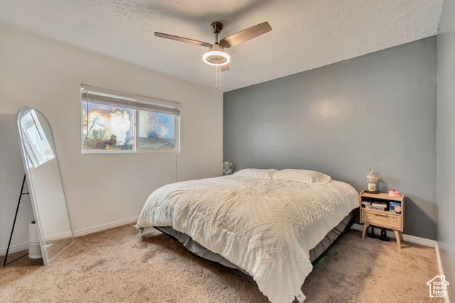 Photo 9 for MLS #2111598 at 2683 S Melville Dr