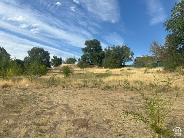 Photo 16 for MLS #2111599 at 709 W Highway 193