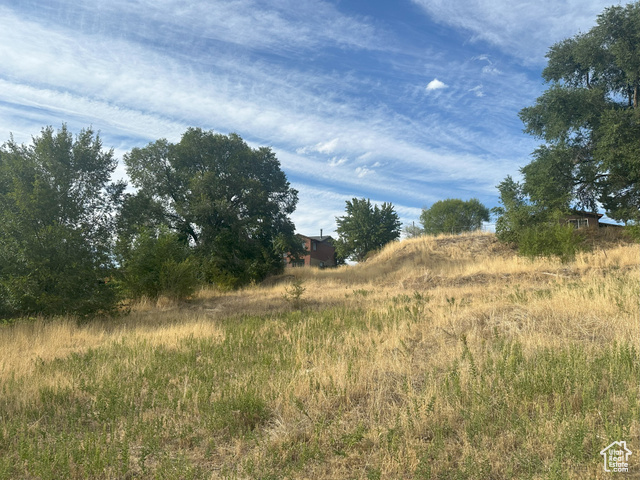 Photo 11 for MLS #2111599 at 709 W Highway 193