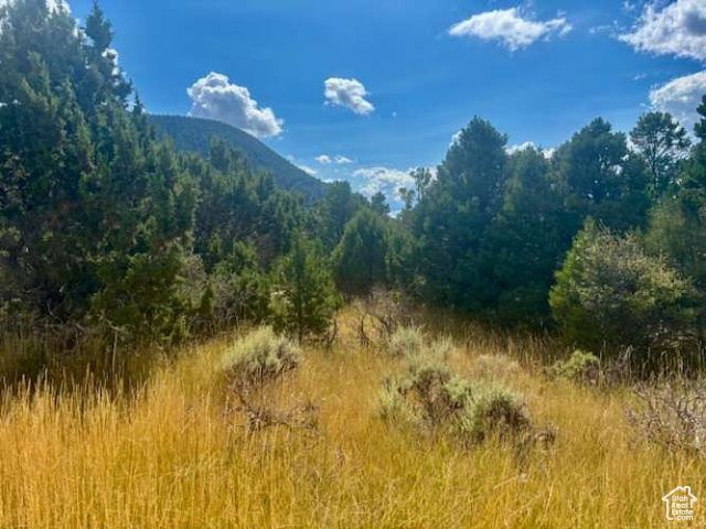 2102 S HIGH CEDAR VIEW DR, Cedar City UT 84720