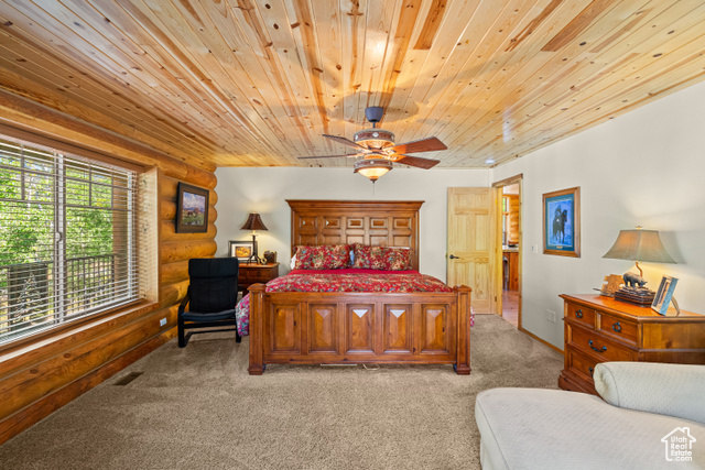 Photo 19 for MLS #2111695 at 4714 Conifer Dr