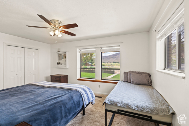 Photo 51 for MLS #2111817 at 248 S Center St