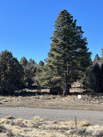 2620 N CARTER CIR, Alton UT 84710