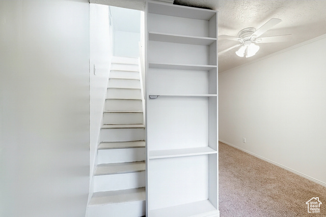 Photo 14 for MLS #2112206 at 250 9th St