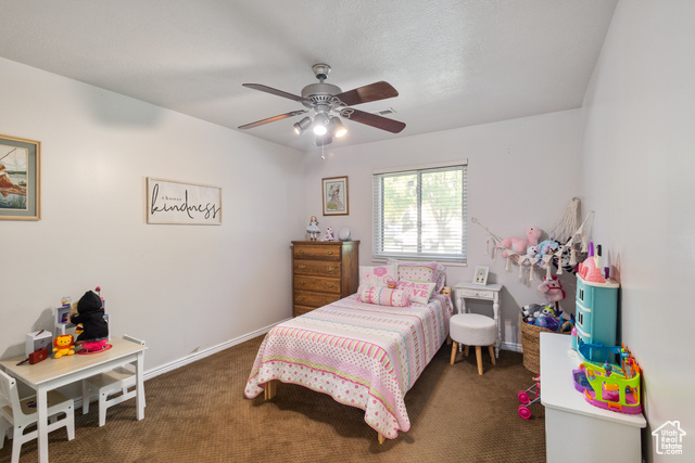 Photo 16 - 504 N 850 West, Springville UT 84663