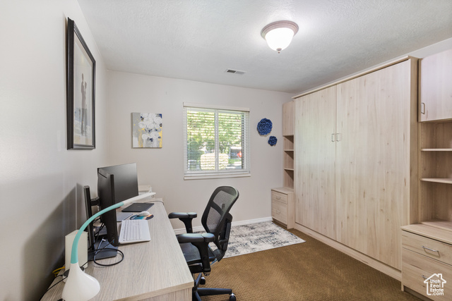 Photo 21 - 504 N 850 West, Springville UT 84663