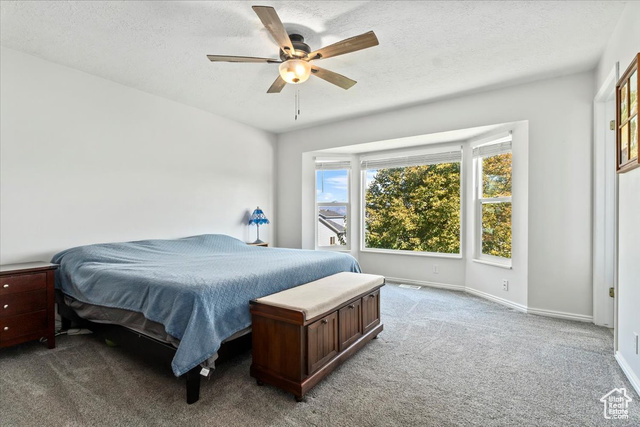 Photo 12 for MLS #2112291 at 8359 S Etude Dr