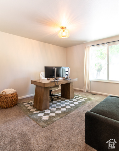 Photo 18 for MLS #2112373 at 4249 S Gloucester Ct