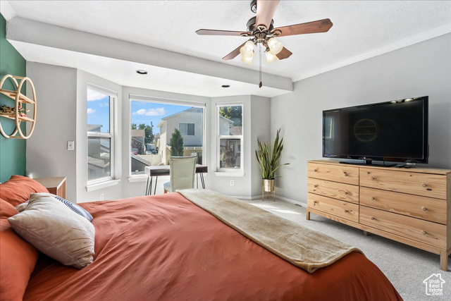 Photo 14 for MLS #2112386 at 1241 W Athleen Dr
