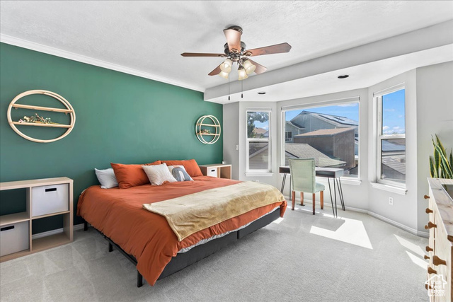 Photo 13 for MLS #2112386 at 1241 W Athleen Dr