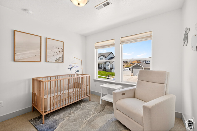 Photo 28 - 778 N Alta View Dr, Saratoga Springs UT 84045