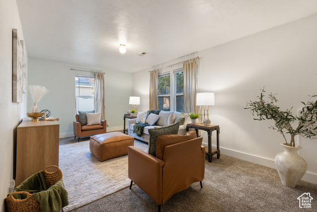 Photo 16 for MLS #2112535 at 1655 N Cerroni Dr