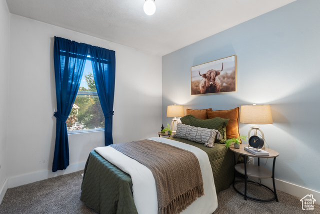 Photo 12 for MLS #2112535 at 1655 N Cerroni Dr