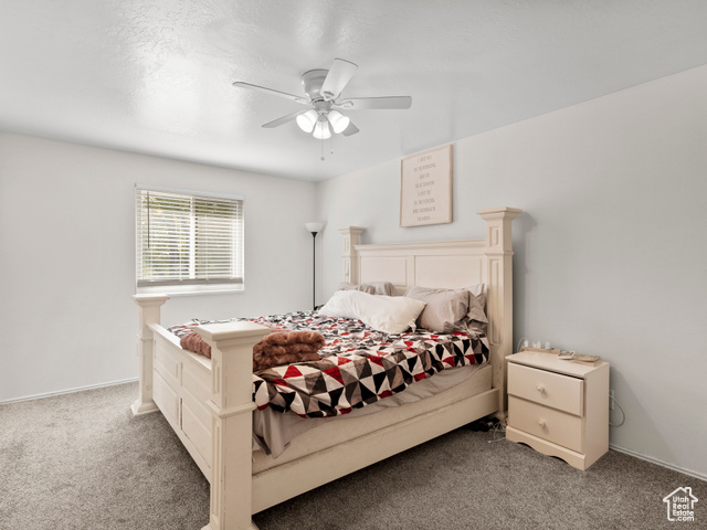 Photo 15 for MLS #2112542 at 3978 W Marlis Cir
