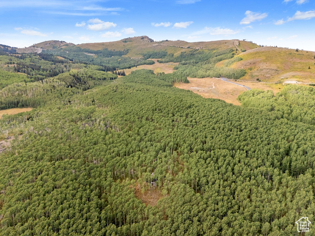 5473 N PINECONE RD, Midway UT 84049