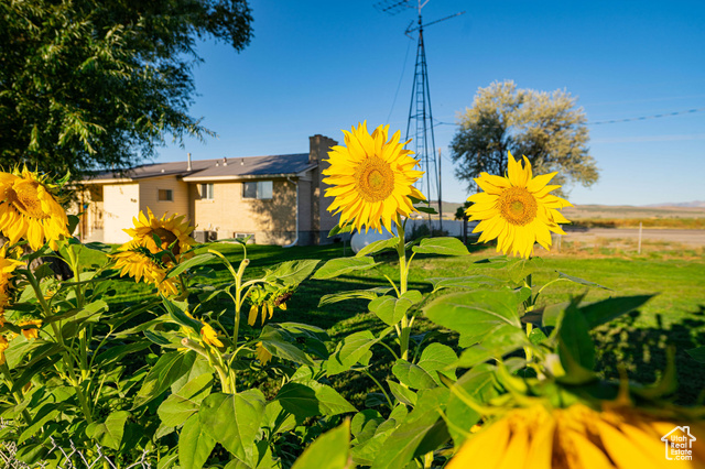 Photo 46 for MLS #2112590 at 10325 S 23000 West