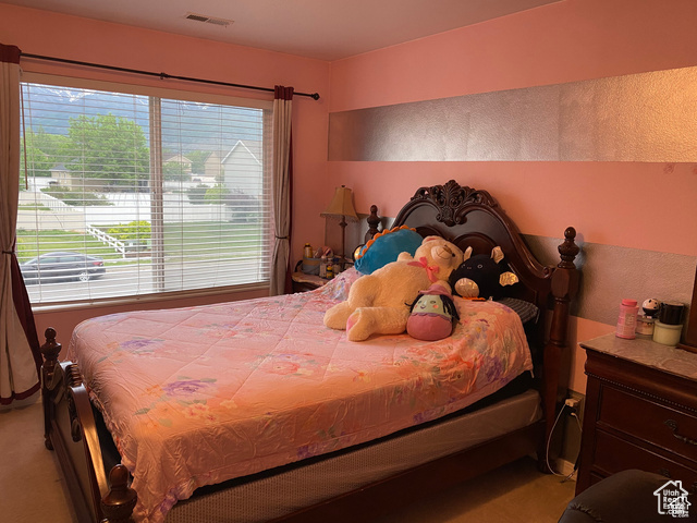 Photo 13 for MLS #2112595 at 454 S Lincolnshire Way