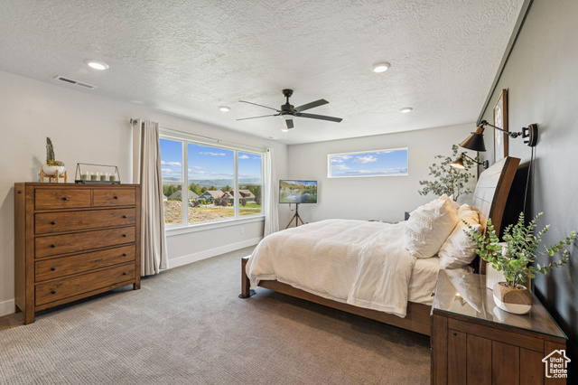 Photo 38 for MLS #2112643 at 1128 N Springer View Loop