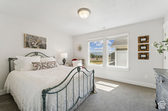 Photo 36 for MLS #2112643 at 1128 N Springer View Loop