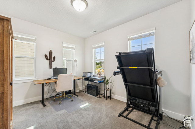 Photo 22 for MLS #2112643 at 1128 N Springer View Loop