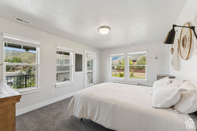 Photo 32 for MLS #2112643 at 1128 N Springer View Loop