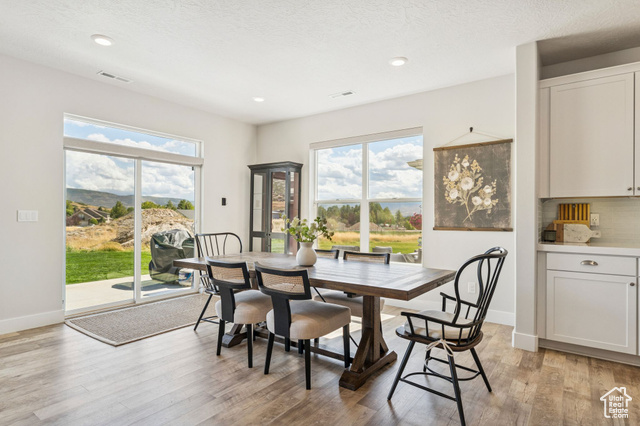 Photo 12 for MLS #2112643 at 1128 N Springer View Loop