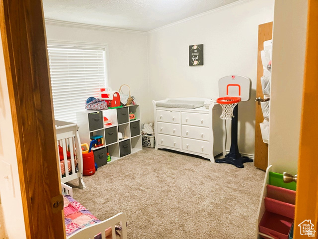 Photo 13 for MLS #2112676 at 275 S Maple St