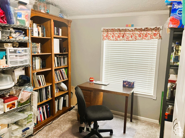 Photo 16 for MLS #2112676 at 275 S Maple St