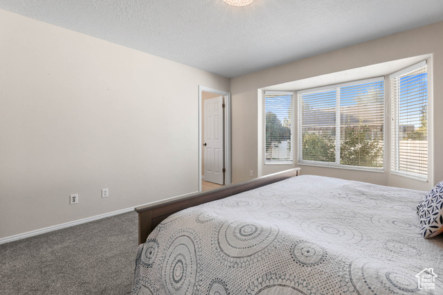 Photo 19 for MLS #2112693 at 2065 E Autumn St