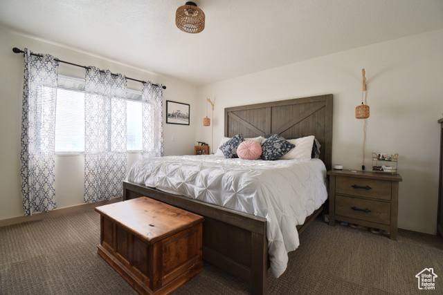 Photo 12 for MLS #2112843 at 34415 N 7925 East