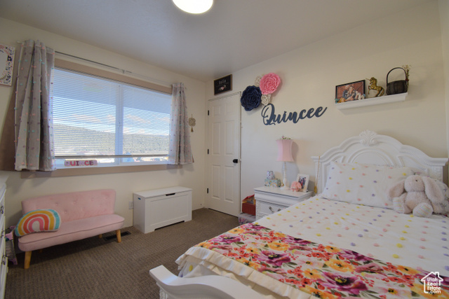 Photo 18 for MLS #2112843 at 34415 N 7925 East