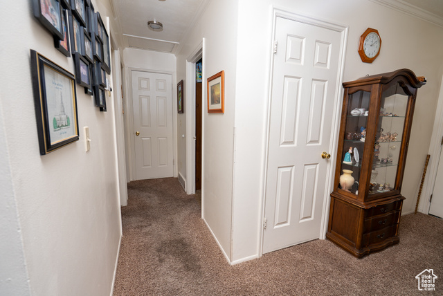 Photo 13 for MLS #2112904 at 3311 S Montclair St