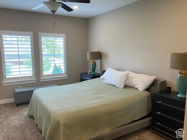 Photo 22 for MLS #2112907 at 7094 S Cadens Cv