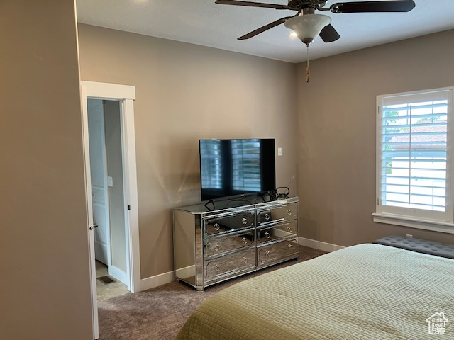Photo 16 for MLS #2112907 at 7094 S Cadens Cv