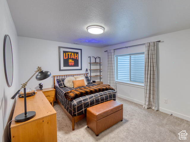 Photo 43 for MLS #2113036 at 13132 S Copeland Dr