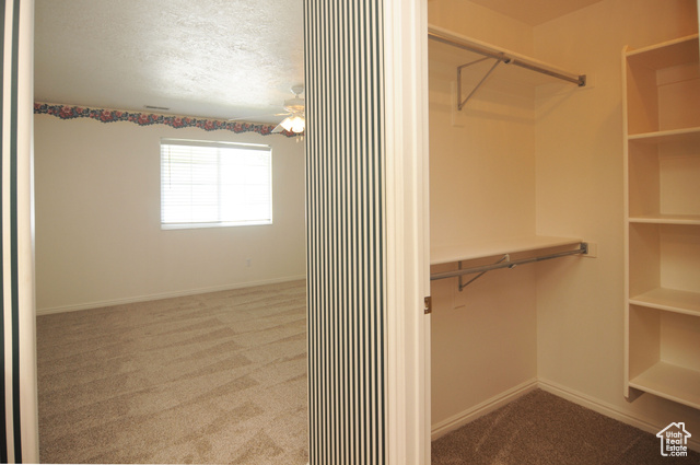 Photo 17 for MLS #2113039 at 4015 Meadow Wood Dr
