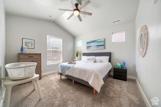 Photo 15 for MLS #2113042 at 317 W 435 North