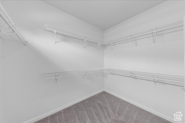Photo 23 for MLS #2113116 at 1667 Morane Manor Dr