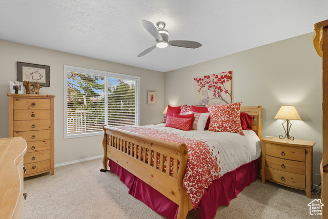 Photo 17 for MLS #2113168 at 2559 E Cupecoy Dr