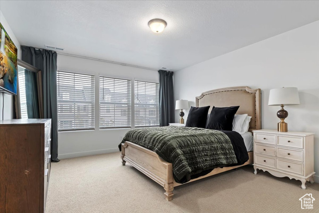 Photo 11 for MLS #2113177 at 11193 S Haviture Rd