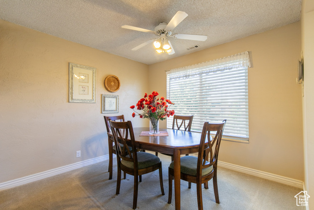 Photo 8 for MLS #2113179 at 1008 S Fountain Dr