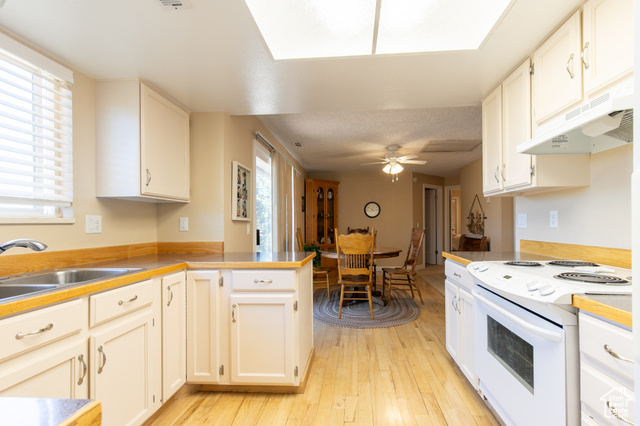 Photo 9 for MLS #2113179 at 1008 S Fountain Dr