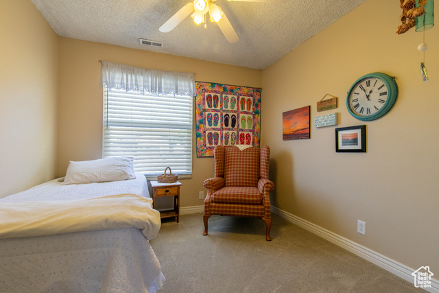 Photo 24 for MLS #2113179 at 1008 S Fountain Dr